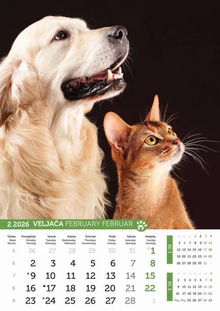  "PSI i MAČKE" color calendar Color
