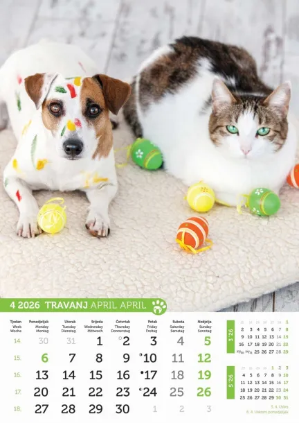  "PSI i MAČKE" color kalendar Color
