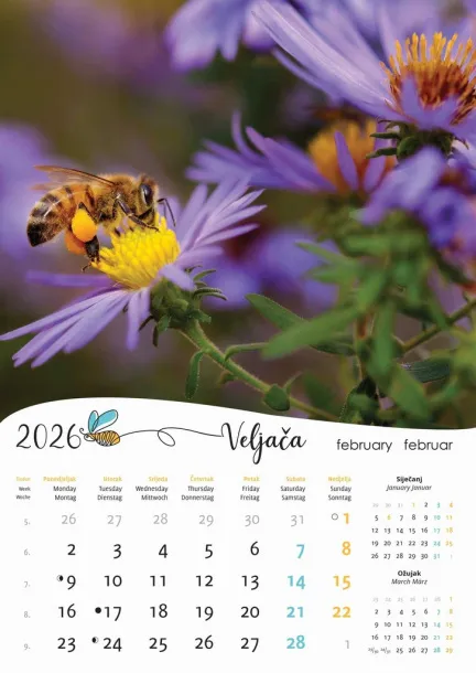 "PČELE" color kalendar Color
