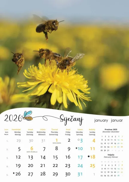  "PČELE" color kalendar Color