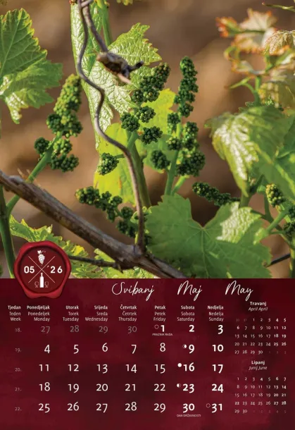  "VINO" color kalendar Color