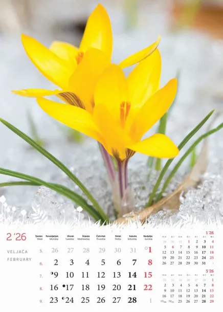  "CVIJEĆE" color calendar Color