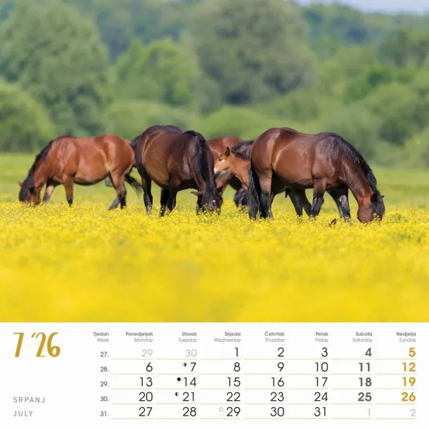  "SEOSKA IDILA" color kalendar Color