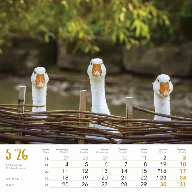  "SEOSKA IDILA" color calendar Color