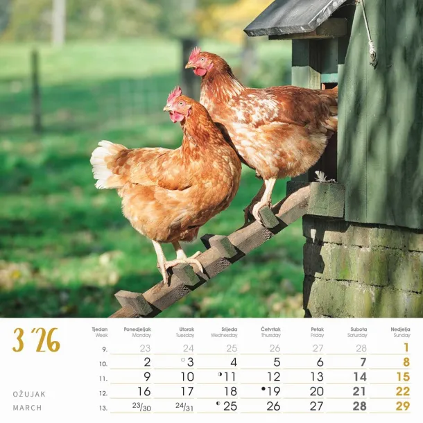  "SEOSKA IDILA" color kalendar Color