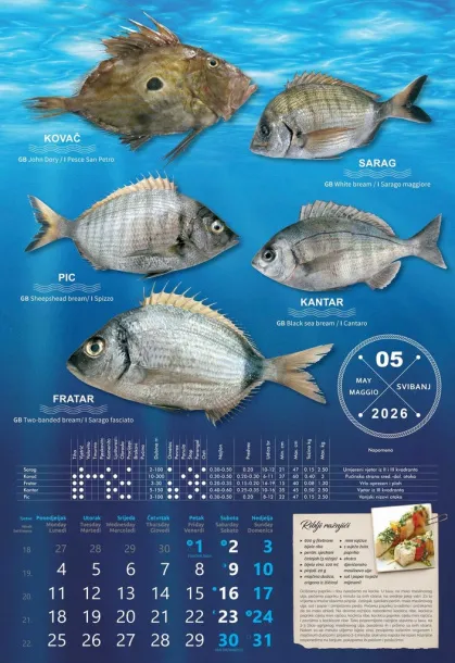  "S RIBARNICE" color calendar Color