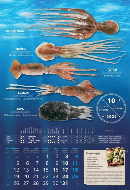  "S RIBARNICE" color calendar Color