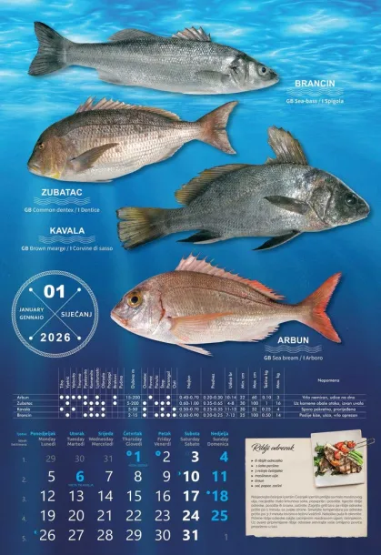  "S RIBARNICE" color calendar Color