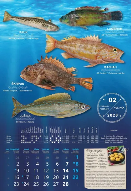  "S RIBARNICE" color calendar Color