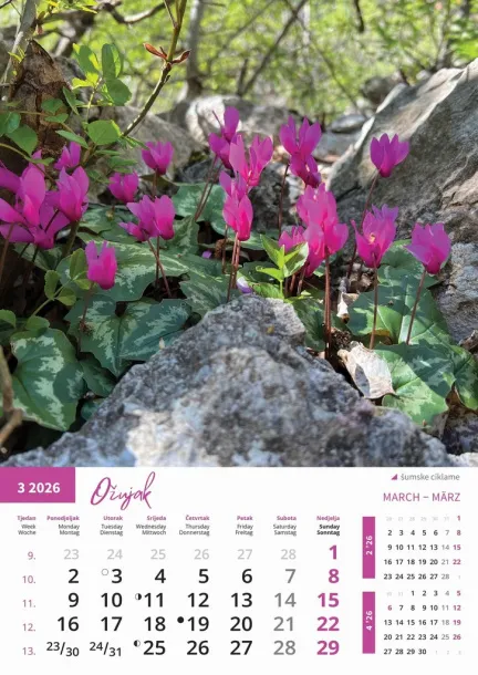  "PRIRODA" color kalendar Color