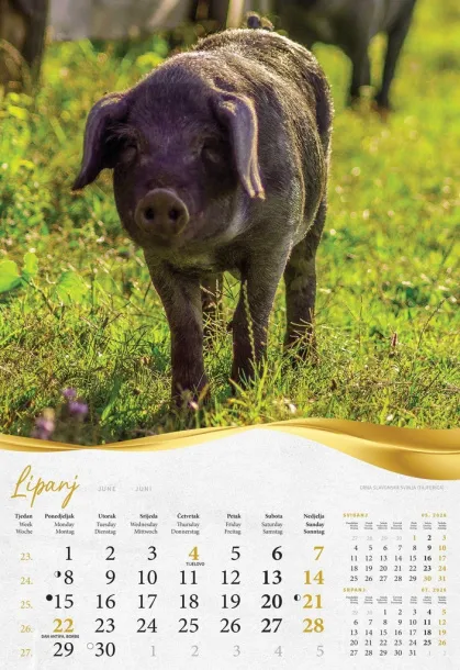  "MOJA ZLATNA SLAVONIJA i BARANJA"  color calendar Color
