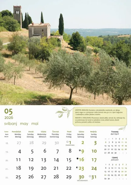  "MASLINE" color calendar Color