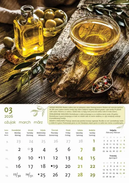  "MASLINE" color calendar Color