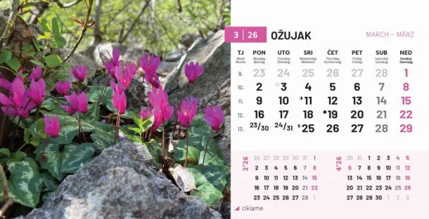  "PRIRODA" 13 list., dim: 20,5x14,5 cm, stolni kalendar, koverta, P/100 Color