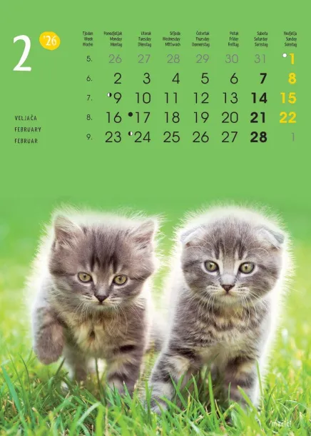  "ŽIVOTINJE" color calendar Color