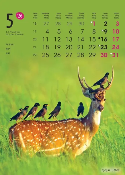  "ŽIVOTINJE" color kalendar Color
