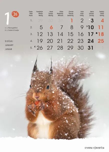  "ŽIVOTINJE" color kalendar Color