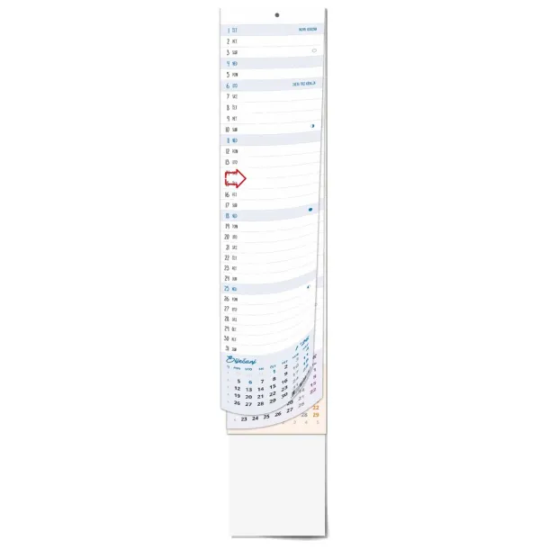  "Business narrow wall planner calendar" Color