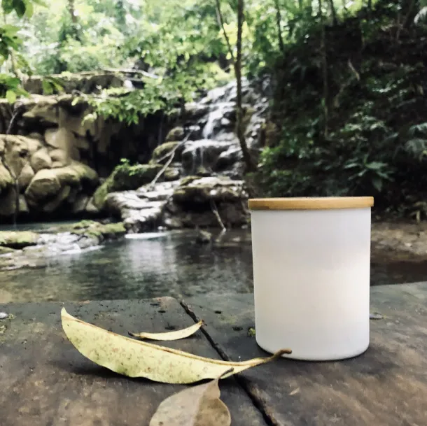  Soybean wax candle 220g - Library - Bijela