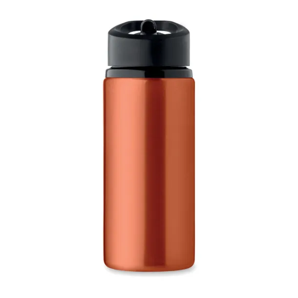 SPOT Single wall bottle 500 ml Matt Silver