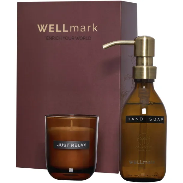 Wellmark Discovery set dozator sapuna za ruke od 250 ml i mirisna svijeća od 150 g - WELLmark Kesten