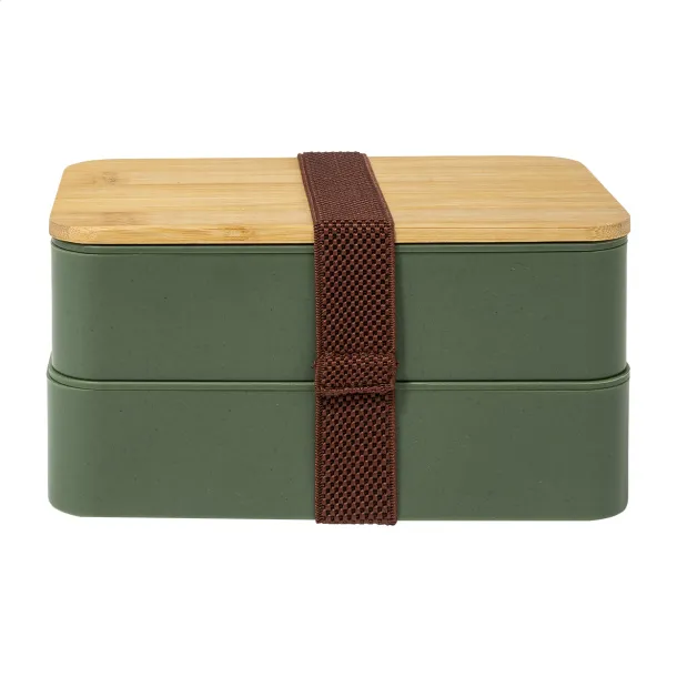 Satay lunch box Green