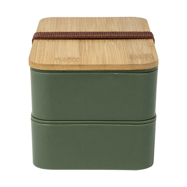 Satay lunch box Green