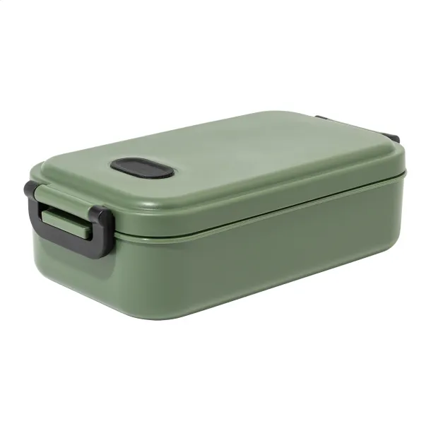 Steamo lunch box Green
