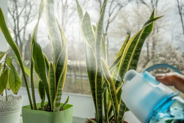 SPRAY boca s raspršivačem, 600 ml Nebaski plava