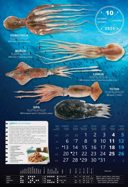  "S RIBARNICE" color calendar Color