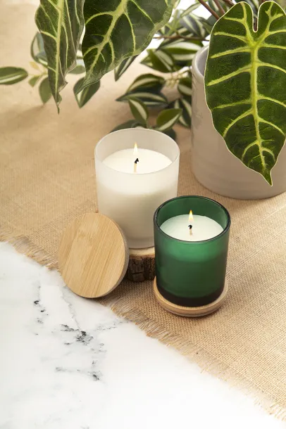 Daizu candle, vanilla Green