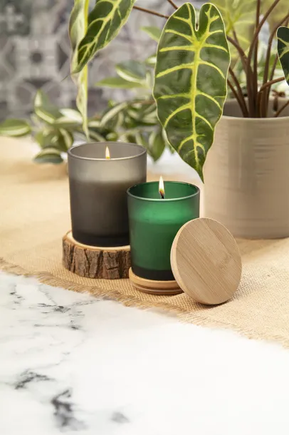 Daizu candle, vanilla Green