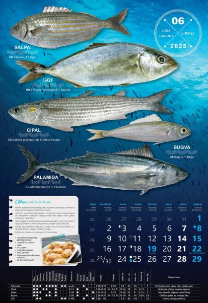  "S RIBARNICE" color calendar Color