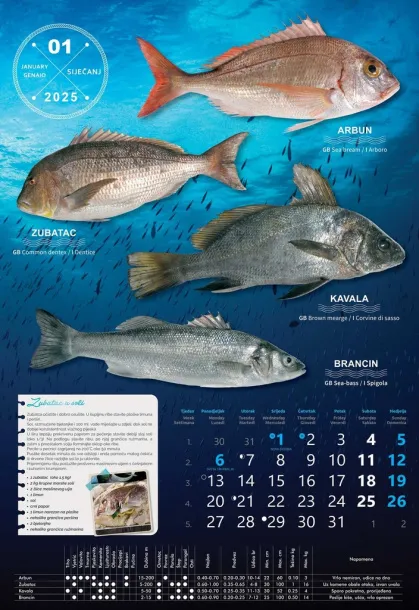  "S RIBARNICE" color calendar Color