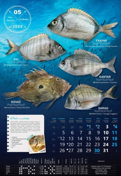  "S RIBARNICE" color calendar Color