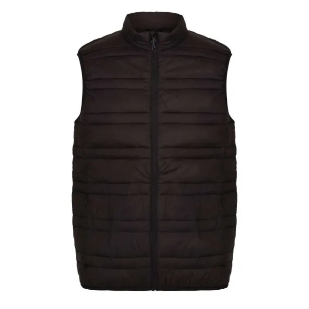 FIREDOWN DOWN-TOUCH INSULATED BODYWARMER - Regatta Black