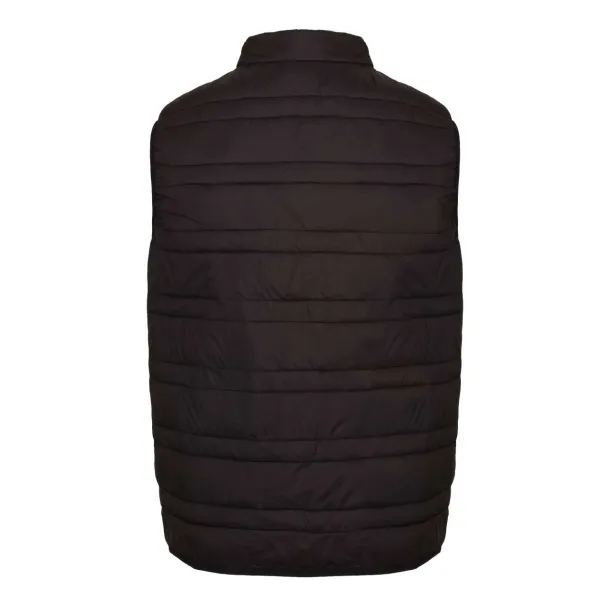 FIREDOWN DOWN-TOUCH INSULATED BODYWARMER - Regatta Black