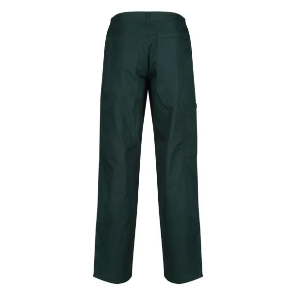  ACTION - TROUSERS (SHORT) - Regatta Zelena