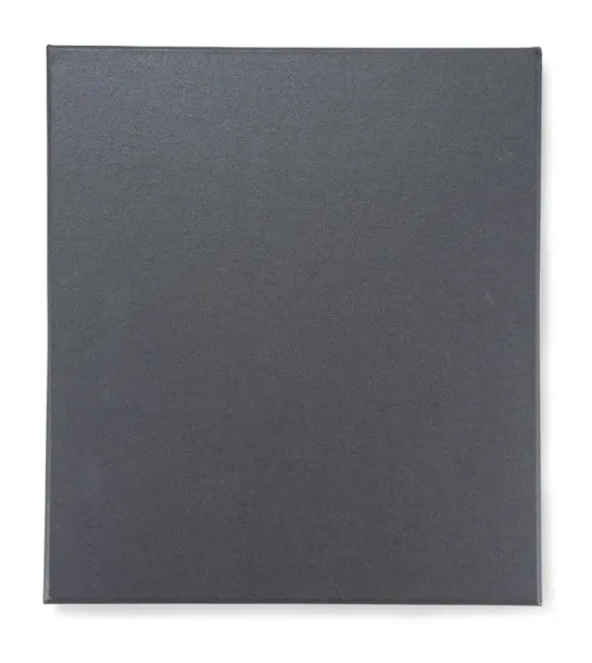 ZENIX Set - notebook with pen czarny