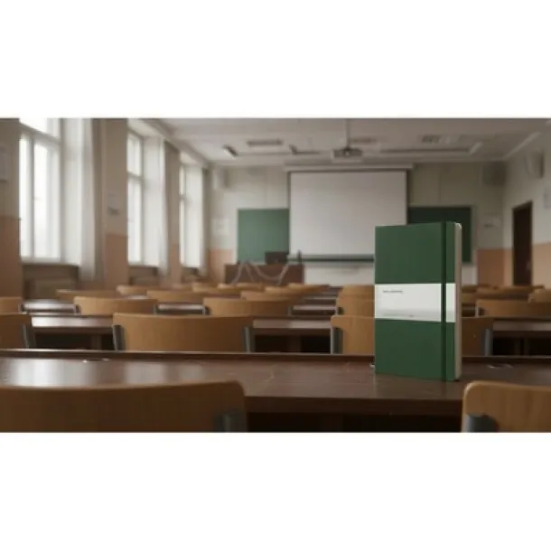  MOLESKINE Notebook approx. A5 khaki