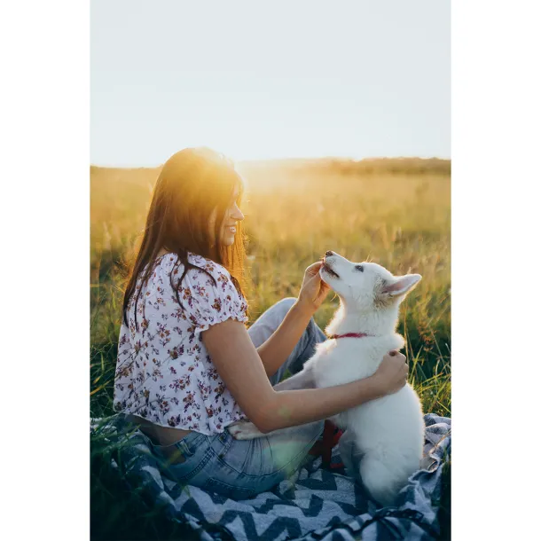 HOP frisbee for dog Blue
