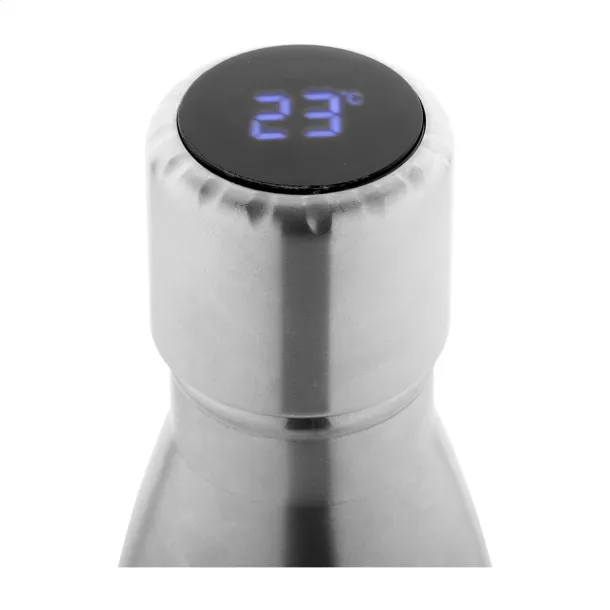 Reverest insluated bottle Silver