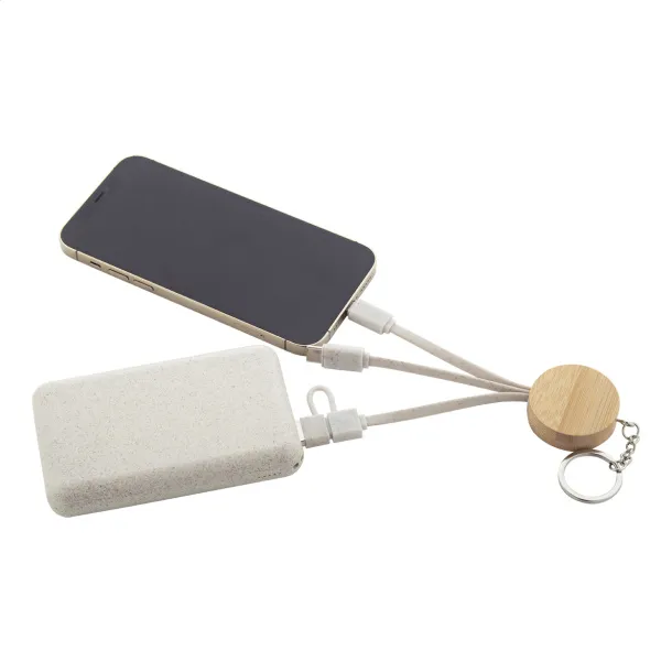 Mugory keyring USB charger cable Natural