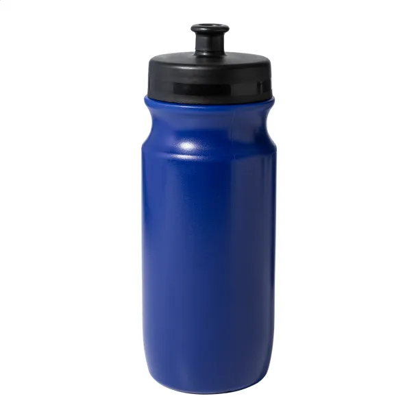Palmares sport bottle Blue