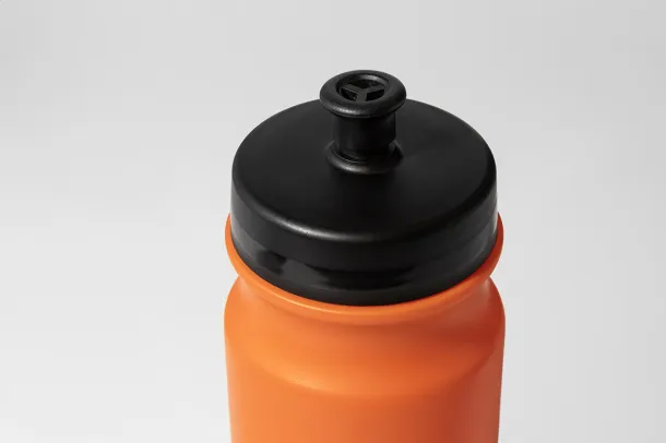 Palmares sport bottle Orange