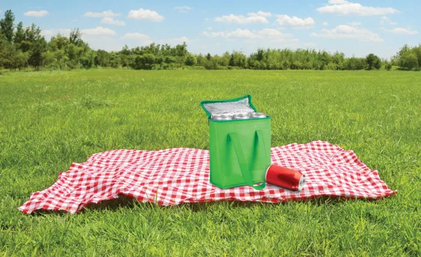 Fridrate cooler bag Green