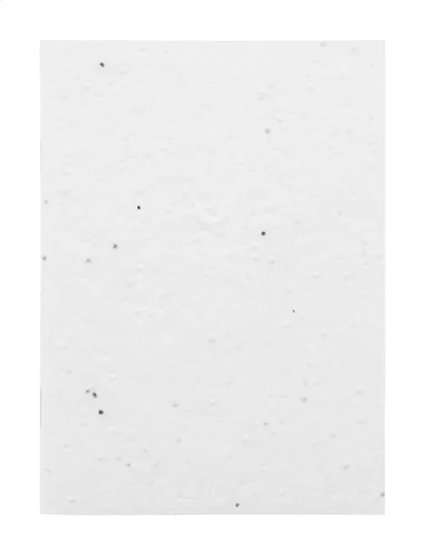 CreaNote A6 Seed custom seed paper notebook White