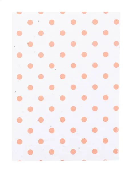 CreaNote A6 Seed custom seed paper notebook White