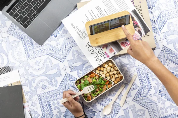 Laksa lunch box Natural