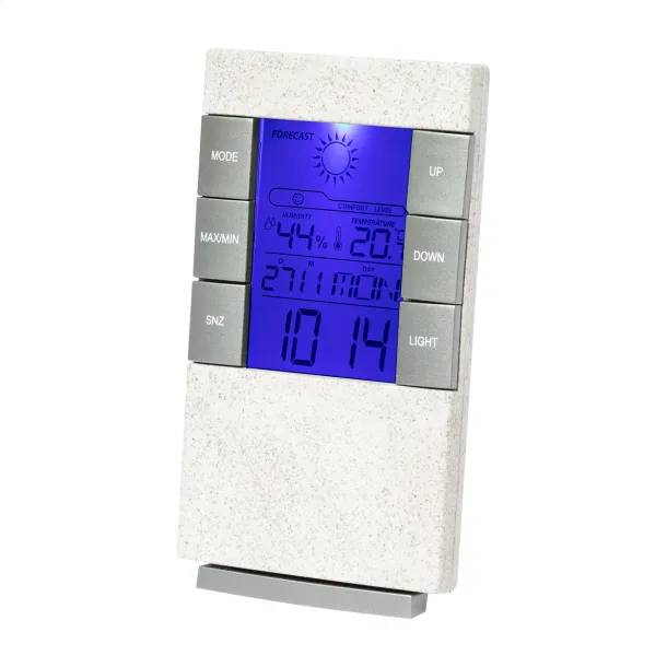 Florida weather station White